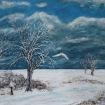 Waar sneeuwuilen zijn wonen geen mensen