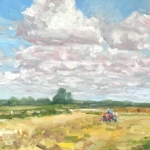 Weerlanerpolder, summer I