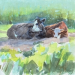Cows I