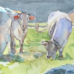 Cows III