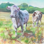 Cows IV