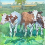 Cows V