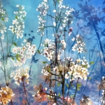 Symbiosis 80-87