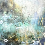 Symbiosis 140-38