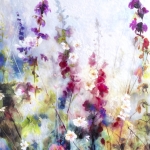 Symbiosis 120-47