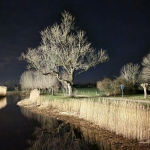 Otterpad by night, Zwolle