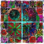 Fleurs de Gravelines II