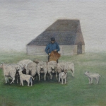 7 Texelse boer voert zijn schapen in de mist