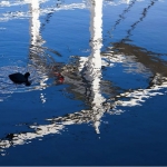 Leiden Morspoortbrug