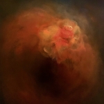 In het Hart van de Nacht