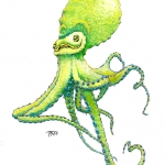 Octopus