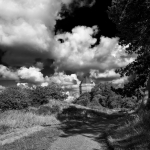 Foto van de maand Oktober 2025