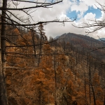 Dystopisch landschap