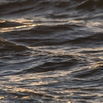 Kust bij zonsondergang