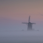 Foto van de maand Maart 2026