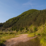 Landschap