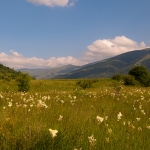 Landschap