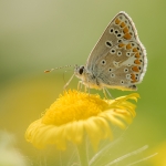 Foto van de maand September 2026
