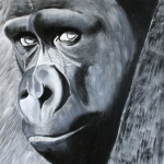 Gorilla in the mist.