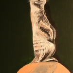 Hey getting lonely out here