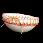 Knotted Cable Stitch