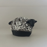 Kleine Blauwe Texelaartje 6