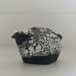 Kleine Blauwe Texelaartje 7