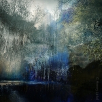 Follow Me Into Paradise