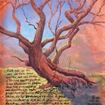 Eik op zandwal in Sterrenbos bij Dalfsen