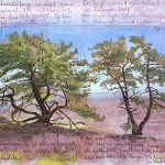 Dennenduo op de Archemerberg