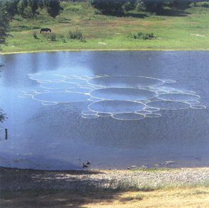 Waar de regen schuilt.