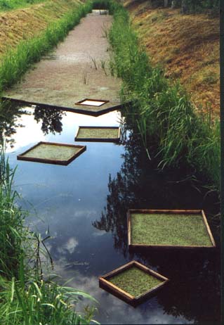 Houtens Dagboek 2