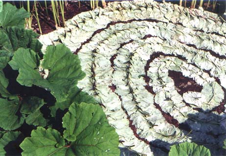 From below (from above)