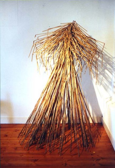 Gekrookt riet