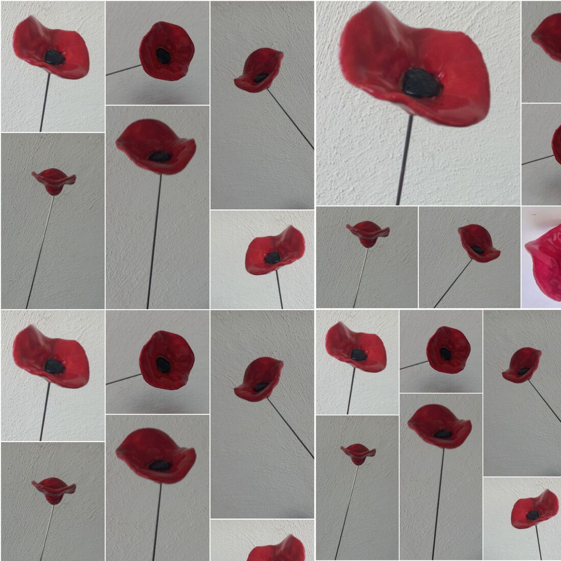 Poppy
