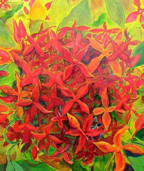 Fayalobi (vuur der liefde) Fire of love