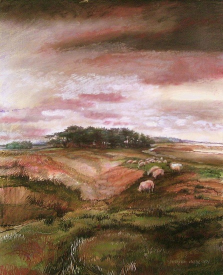 Leemkuil Blaricumse heide