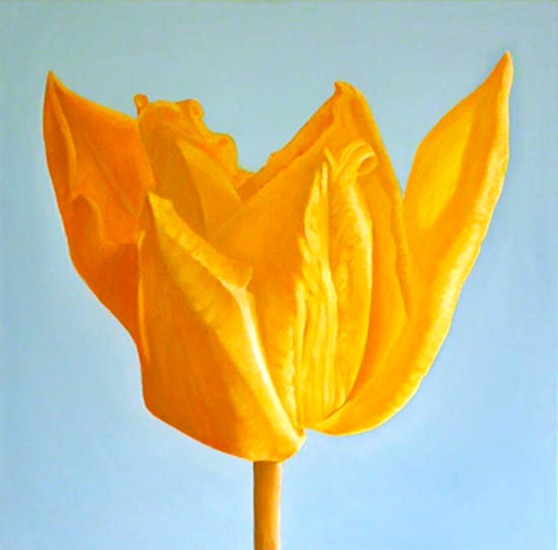 'nummer een' (number one)