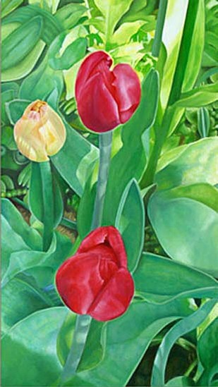 'Tulpen uit eigen tuin' (Tulips from my own garden)