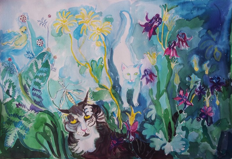 chasing daddy long legs