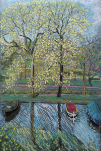 Bomen geven leven aan de stad. Ik en veel andere mensen zijn enorm verblijd door hun vorm en de kleur van hun bladeren. 