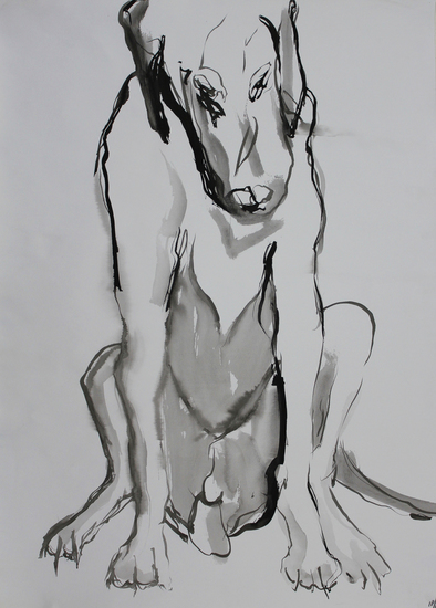 Hond (4)