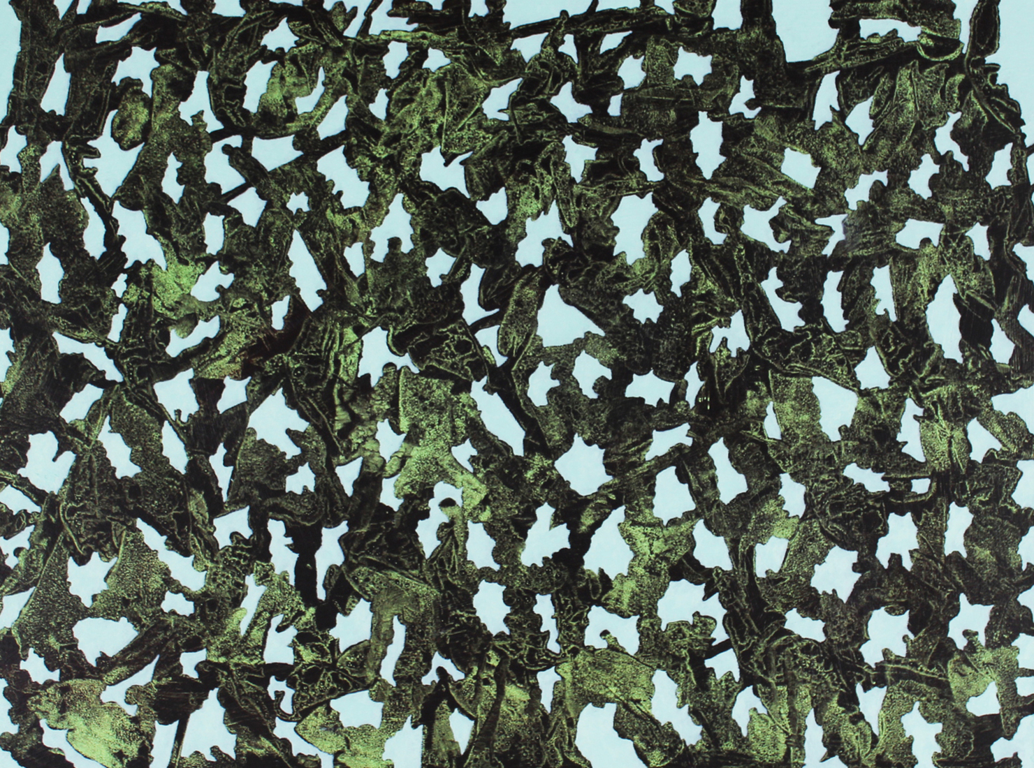 Frogs