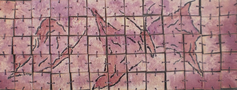 Vlinders aan de Leie