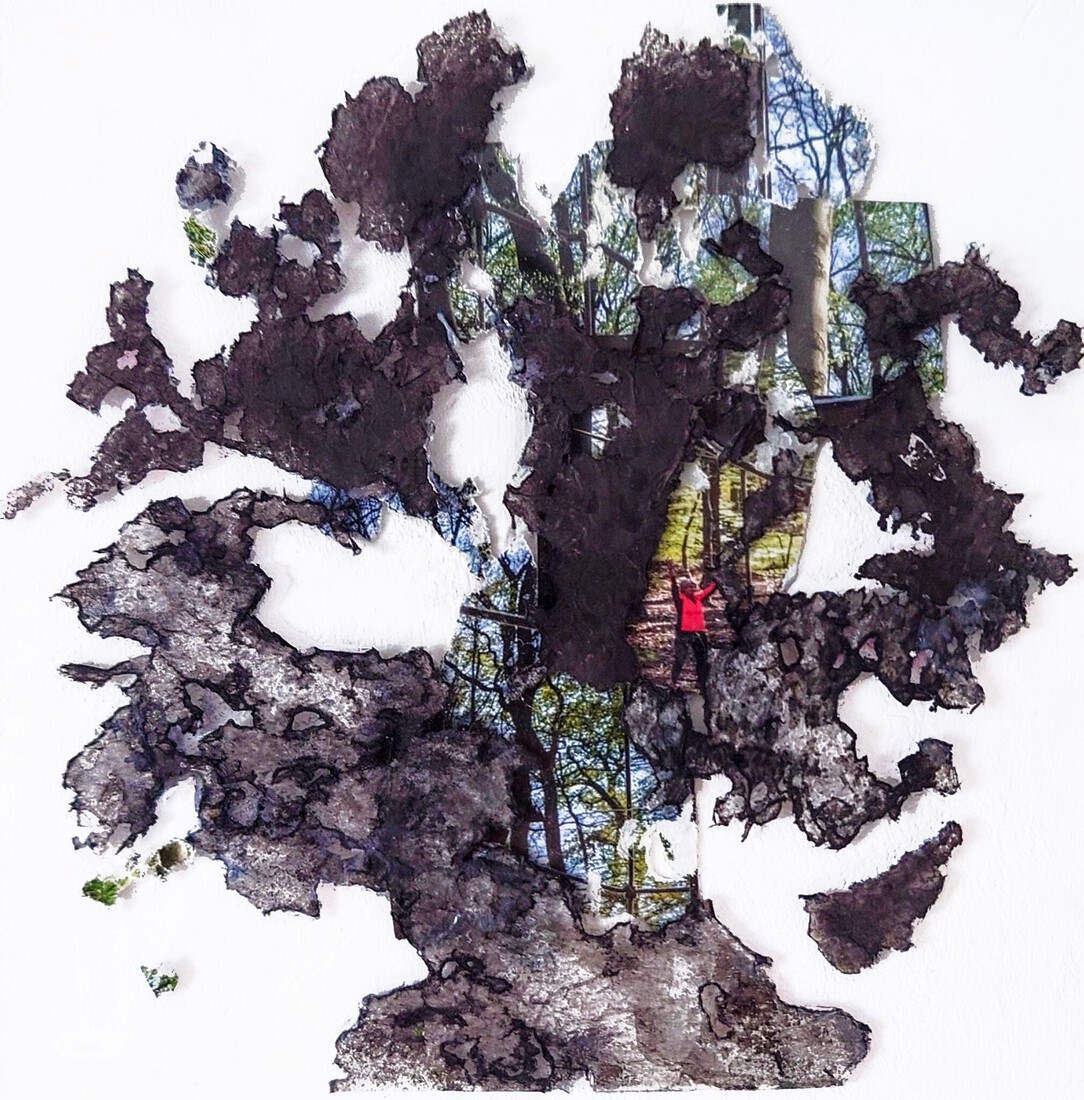 'Darkness and Light' that's Nature 