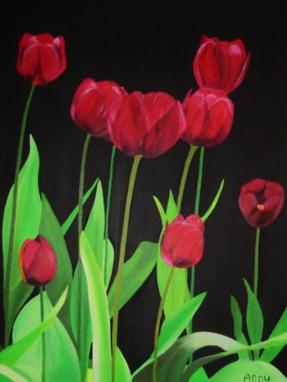 Paarse Tulpen