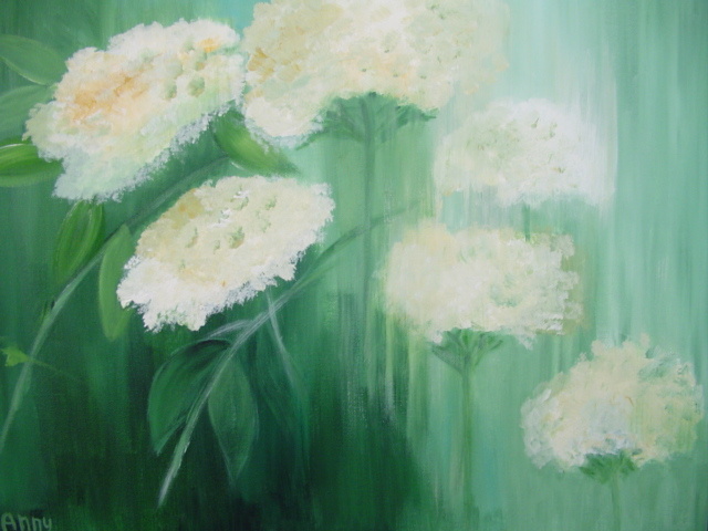 vlierbessen in de dauw