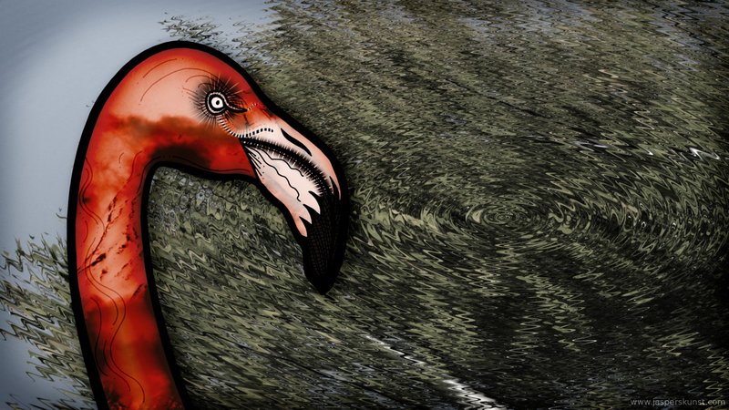 Flamingo is faliekant tegen