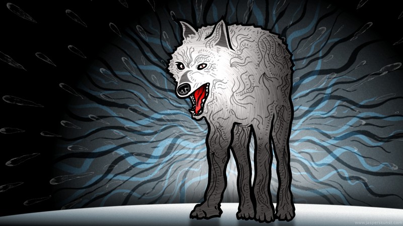 Wolf weet het ook allemaal even niet meer