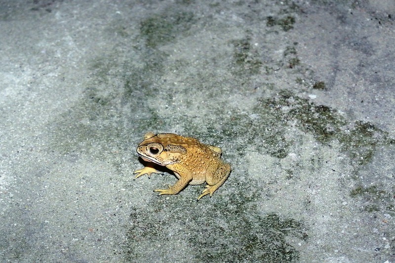 Ik zie hier niemand anders